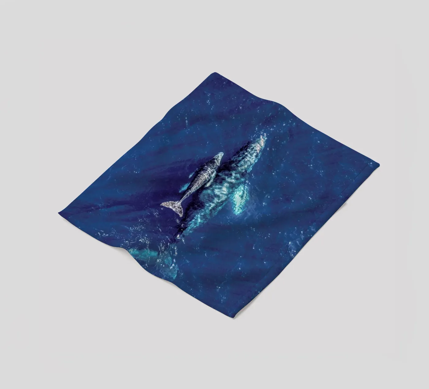 Blue Fleecedecke von ROBERTO H