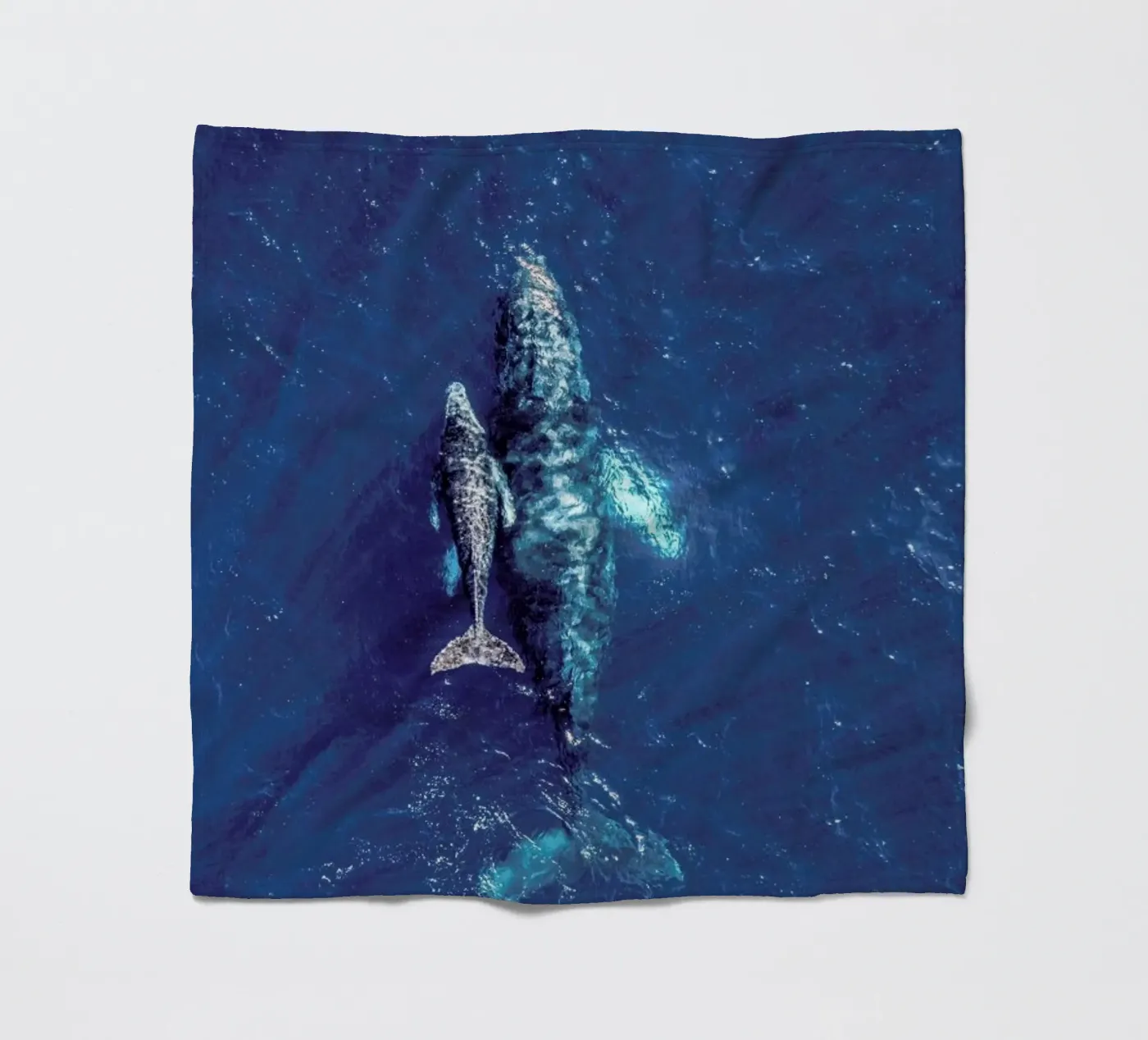 Blue Fleecedecke von ROBERTO H