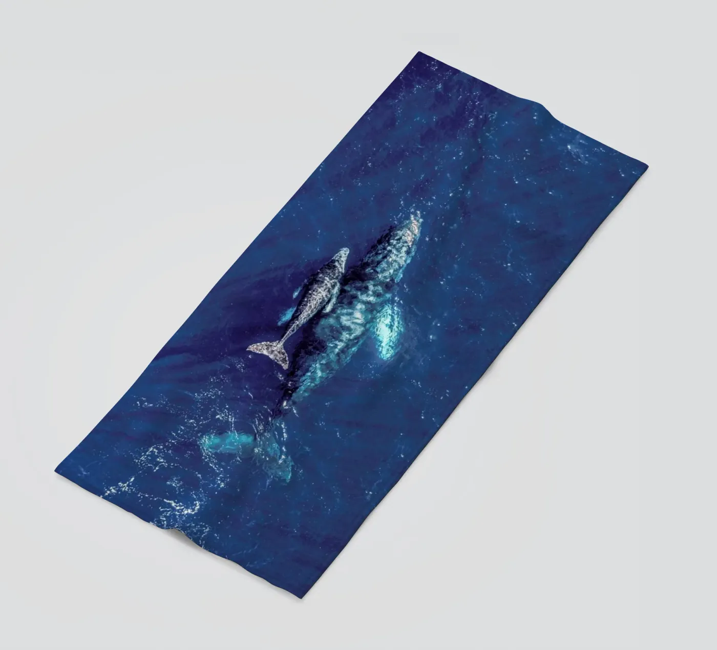 Blue telo mare da ROBERTO H