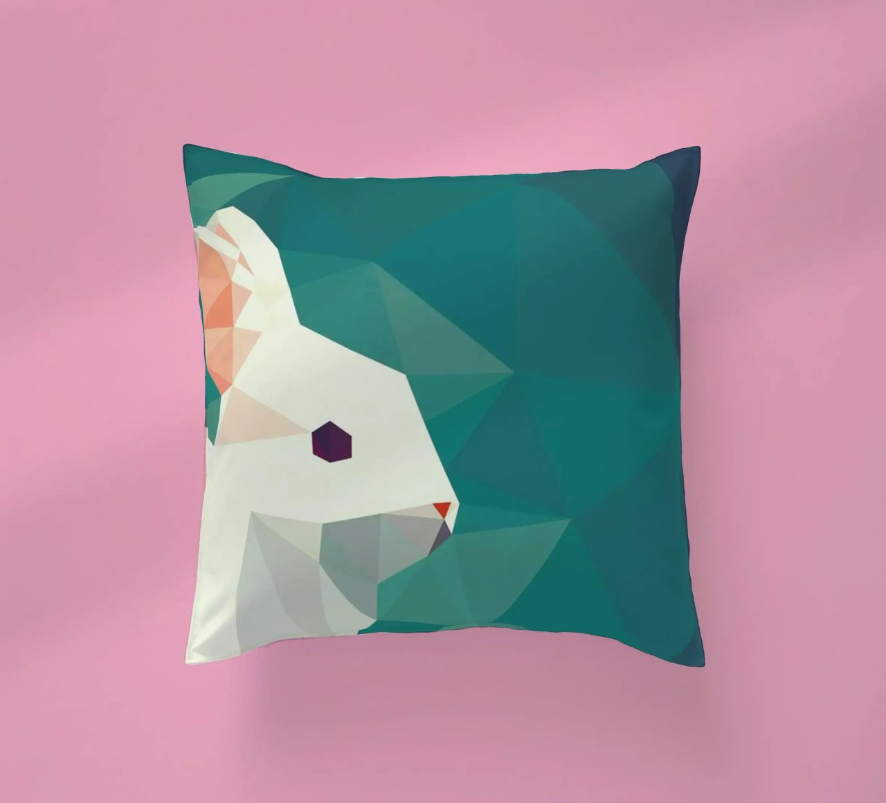 Oryctolagus cuniculus cuscino da Matěj Kašpar Jirásek