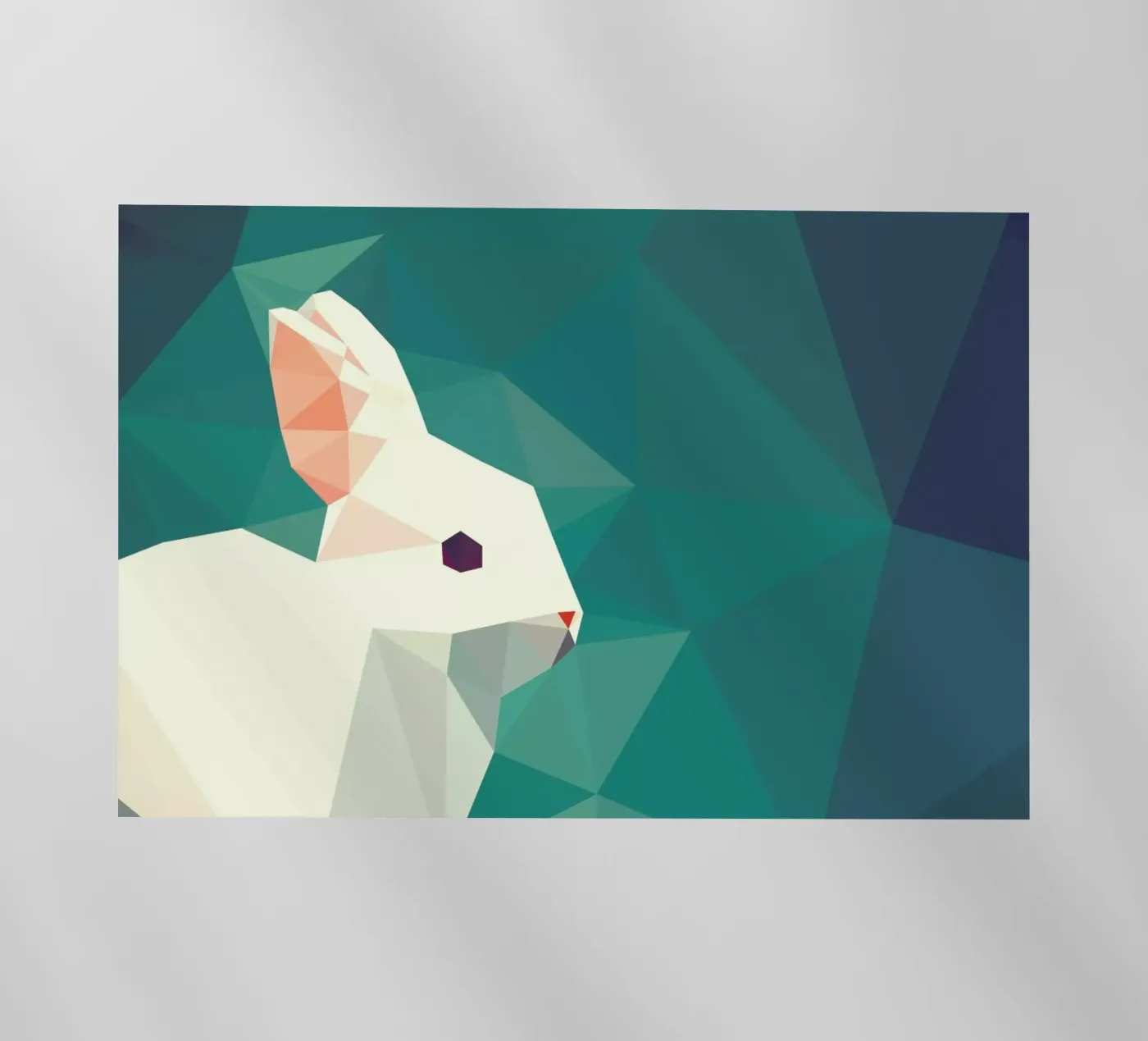 Oryctolagus cuniculus pellicola backlit da Matěj Kašpar Jirásek