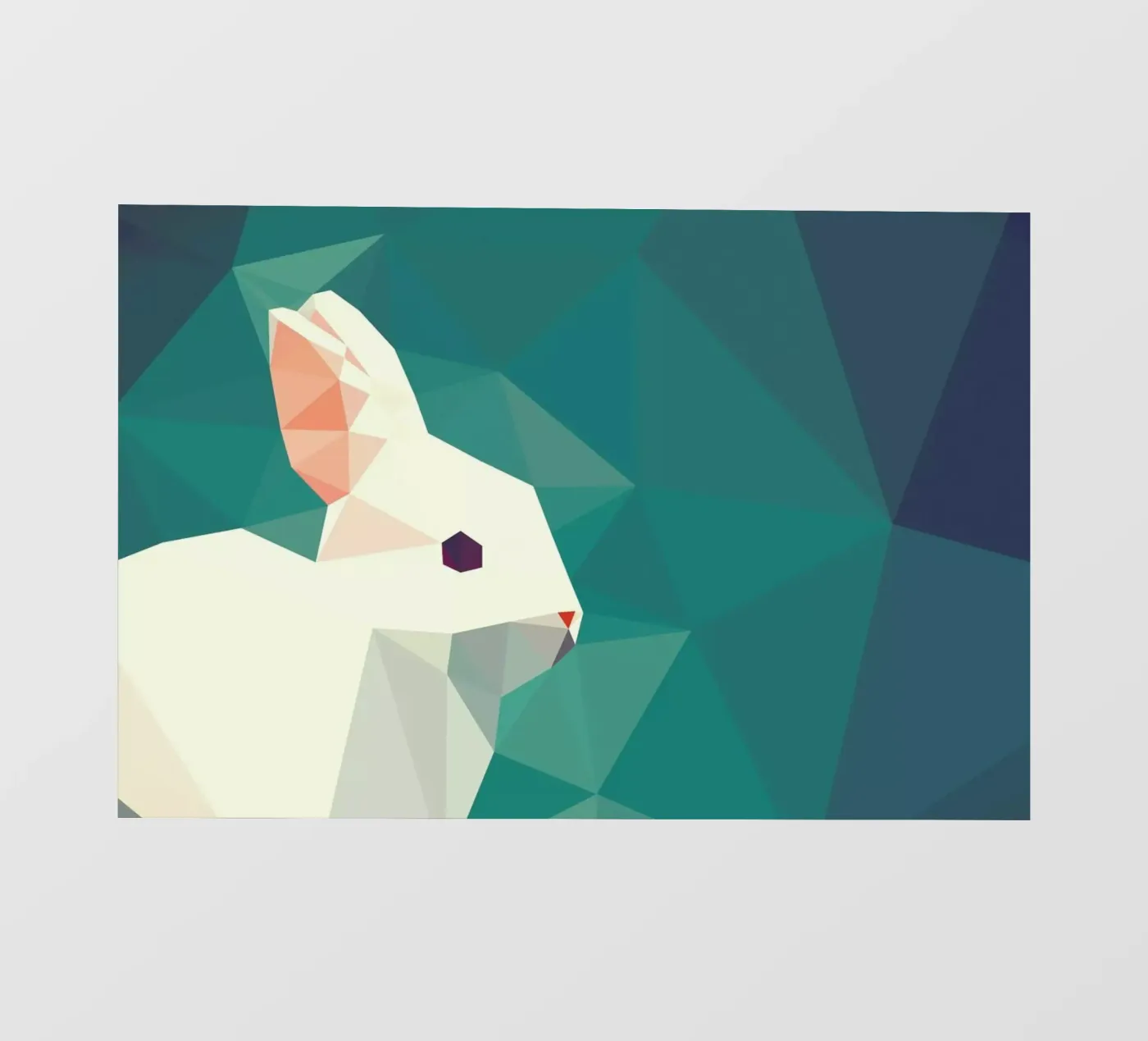 Oryctolagus cuniculus pellicola backlit da Matěj Kašpar Jirásek