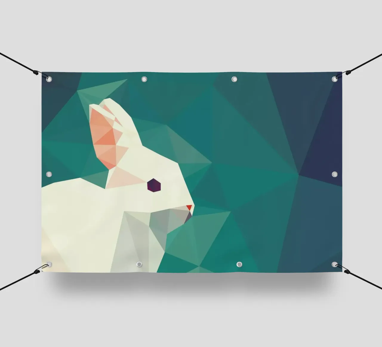 Oryctolagus cuniculus telo in pvc da Matěj Kašpar Jirásek