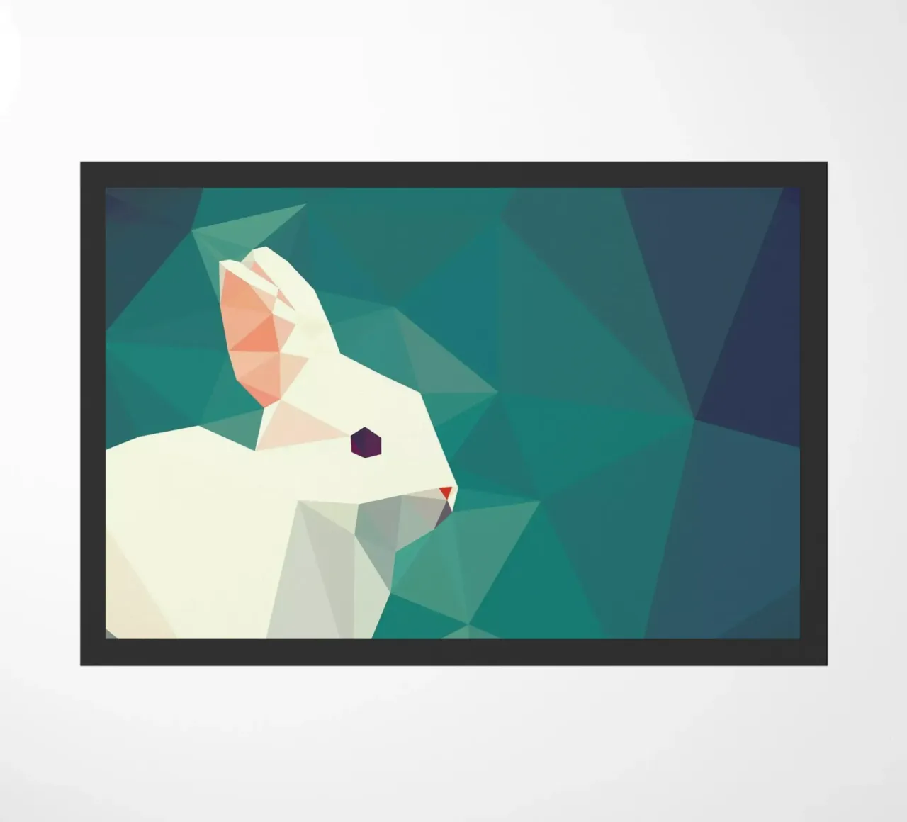 Oryctolagus cuniculus zerbino da Matěj Kašpar Jirásek