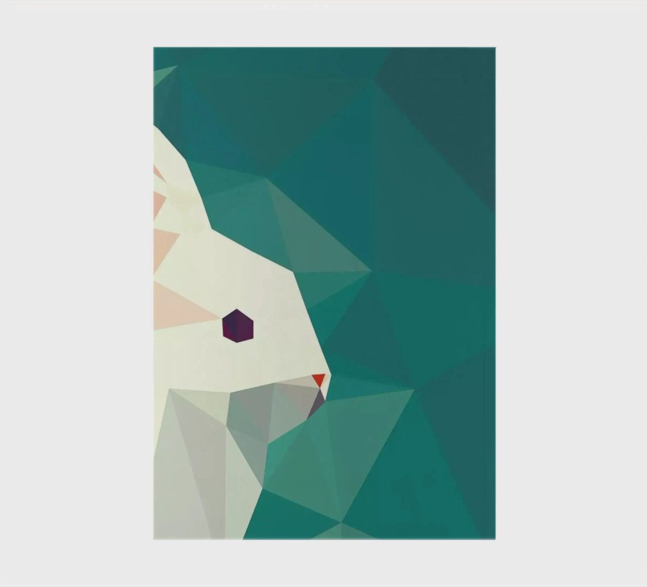 Oryctolagus cuniculus notebook by Matěj Kašpar Jirásek