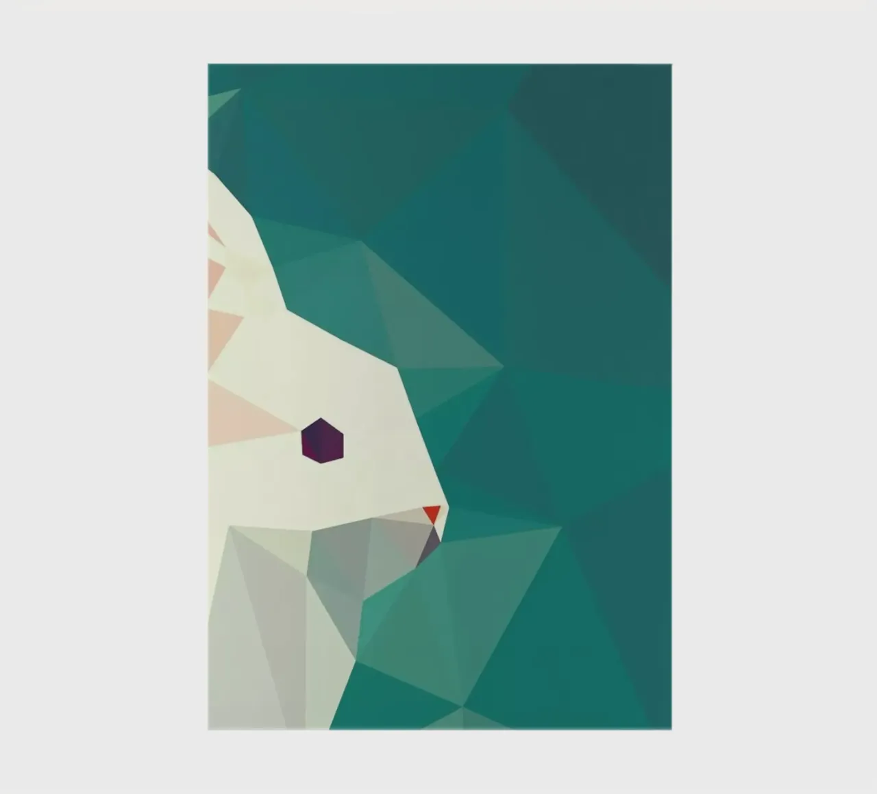 Oryctolagus cuniculus notebook by Matěj Kašpar Jirásek