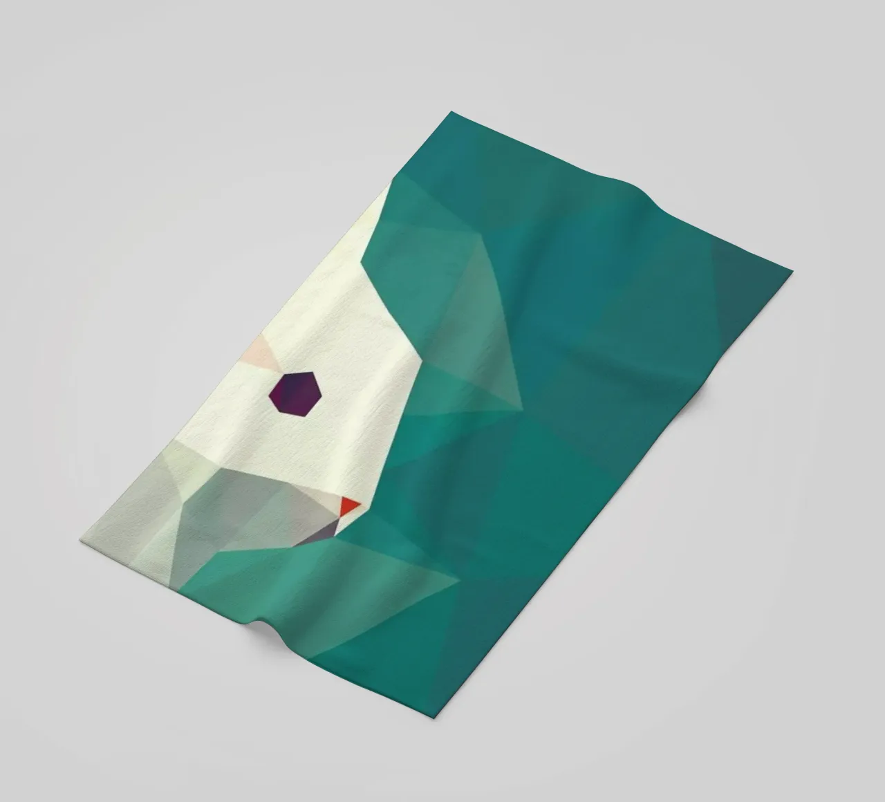 Oryctolagus cuniculus telo mare da Matěj Kašpar Jirásek