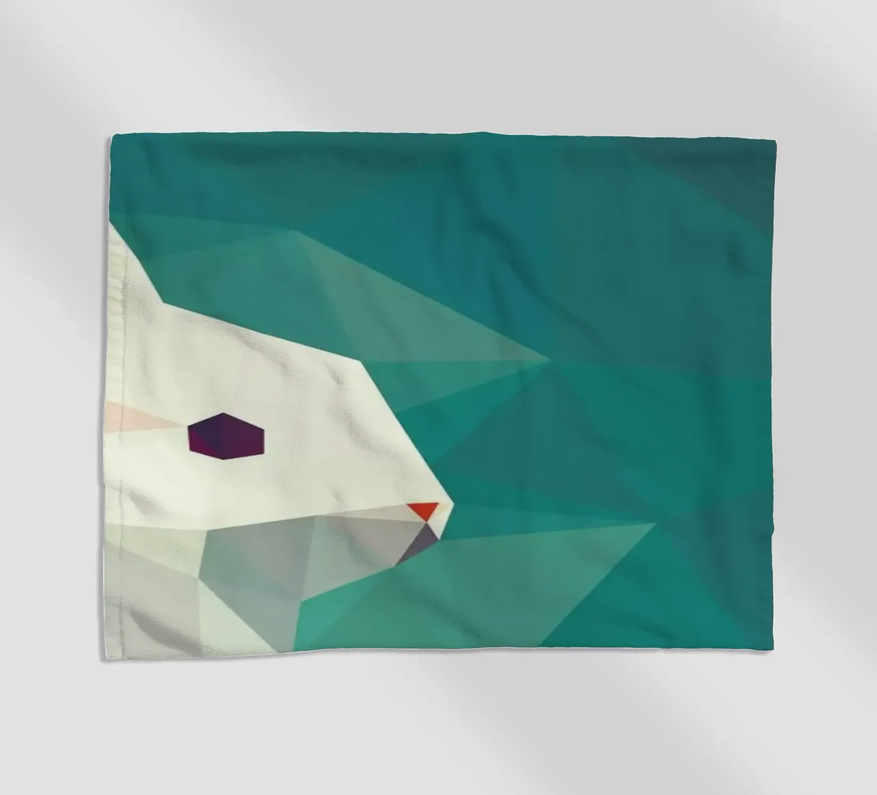 Oryctolagus cuniculus telo mare da Matěj Kašpar Jirásek