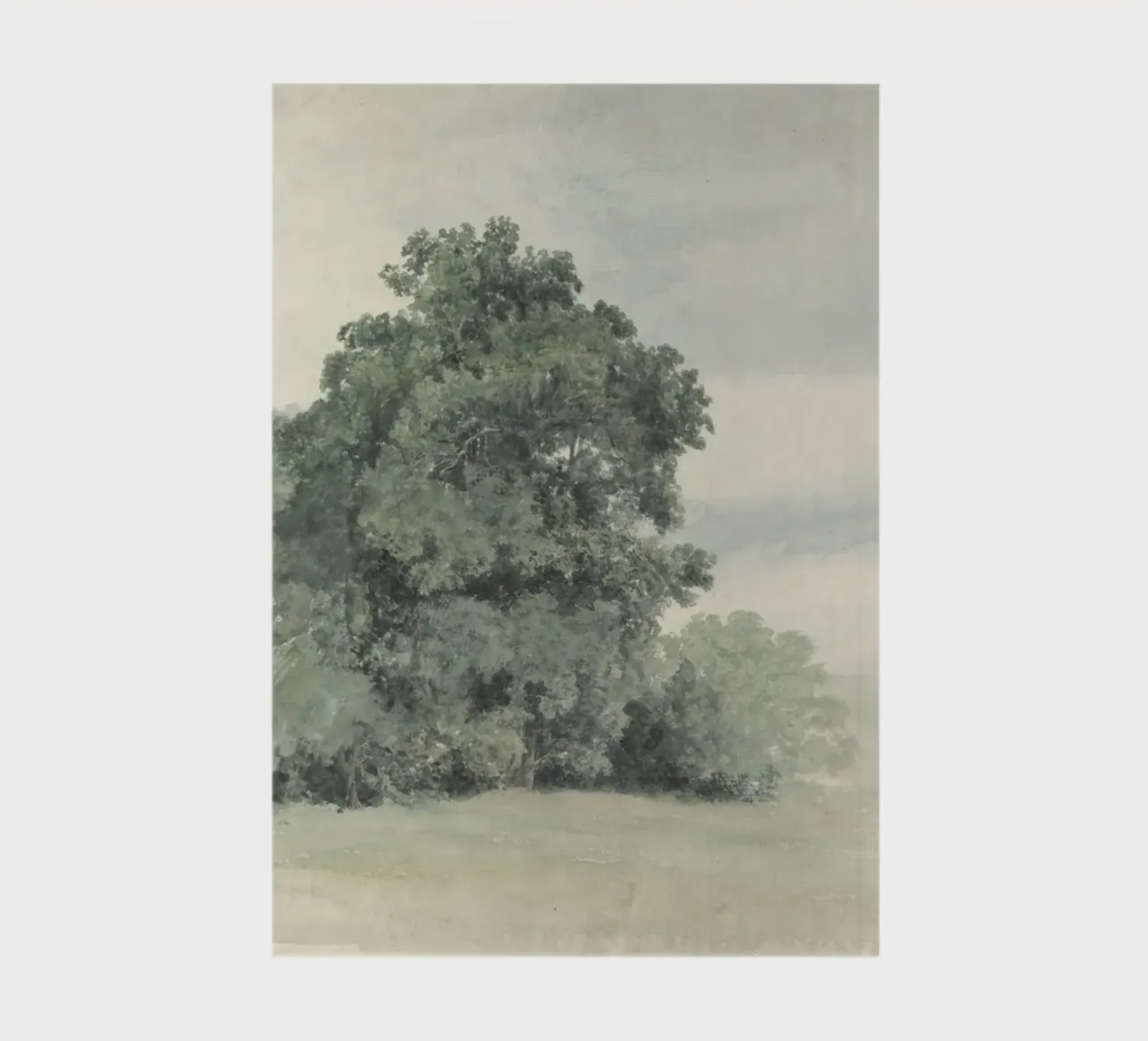 Pastoral Trees: Misty Landscape, Tonalist Nature Art notebook by ClubArt