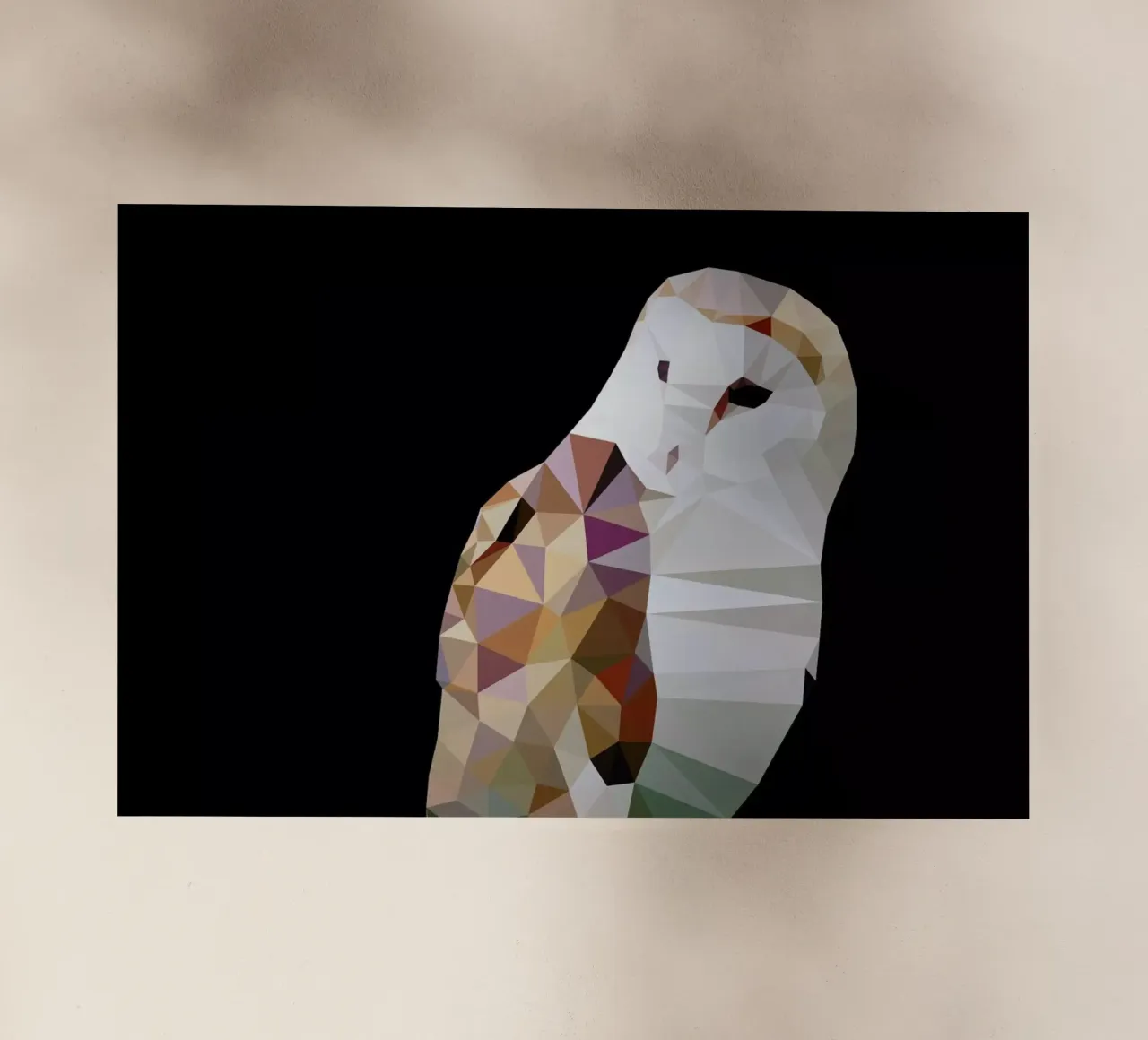 Tyto alba backlit film by Matěj Kašpar Jirásek