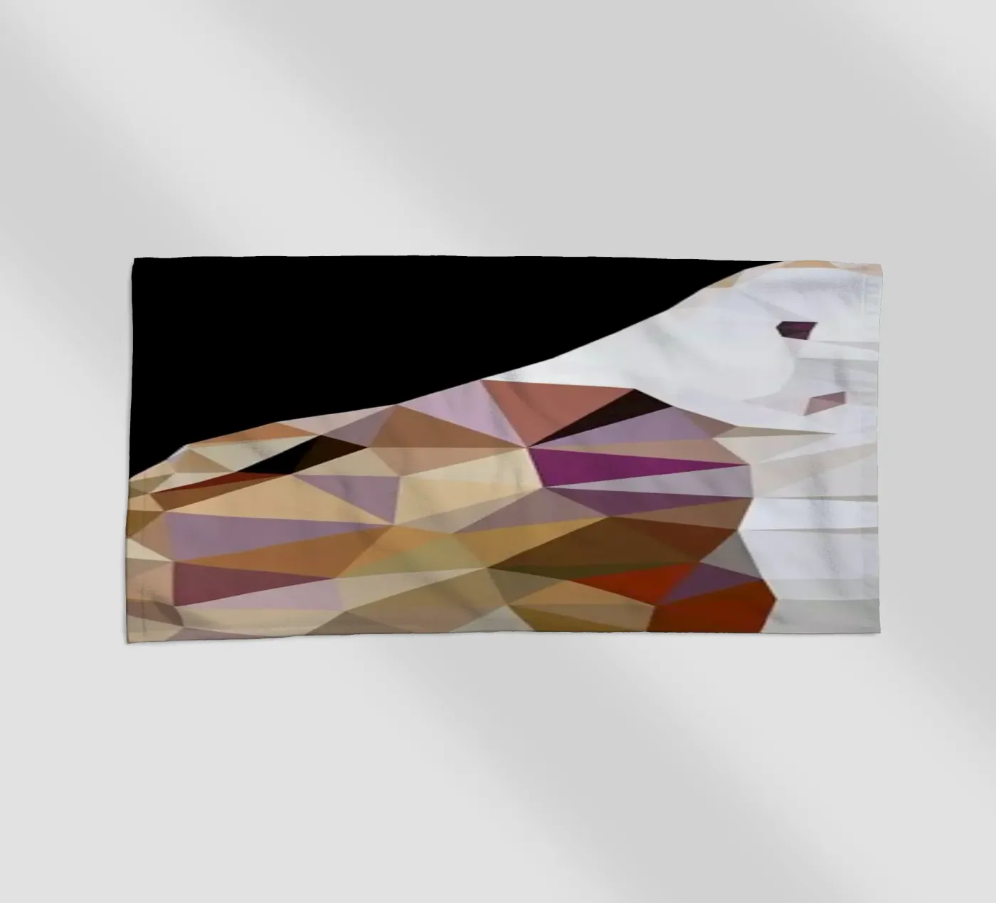 Tyto alba telo mare da Matěj Kašpar Jirásek