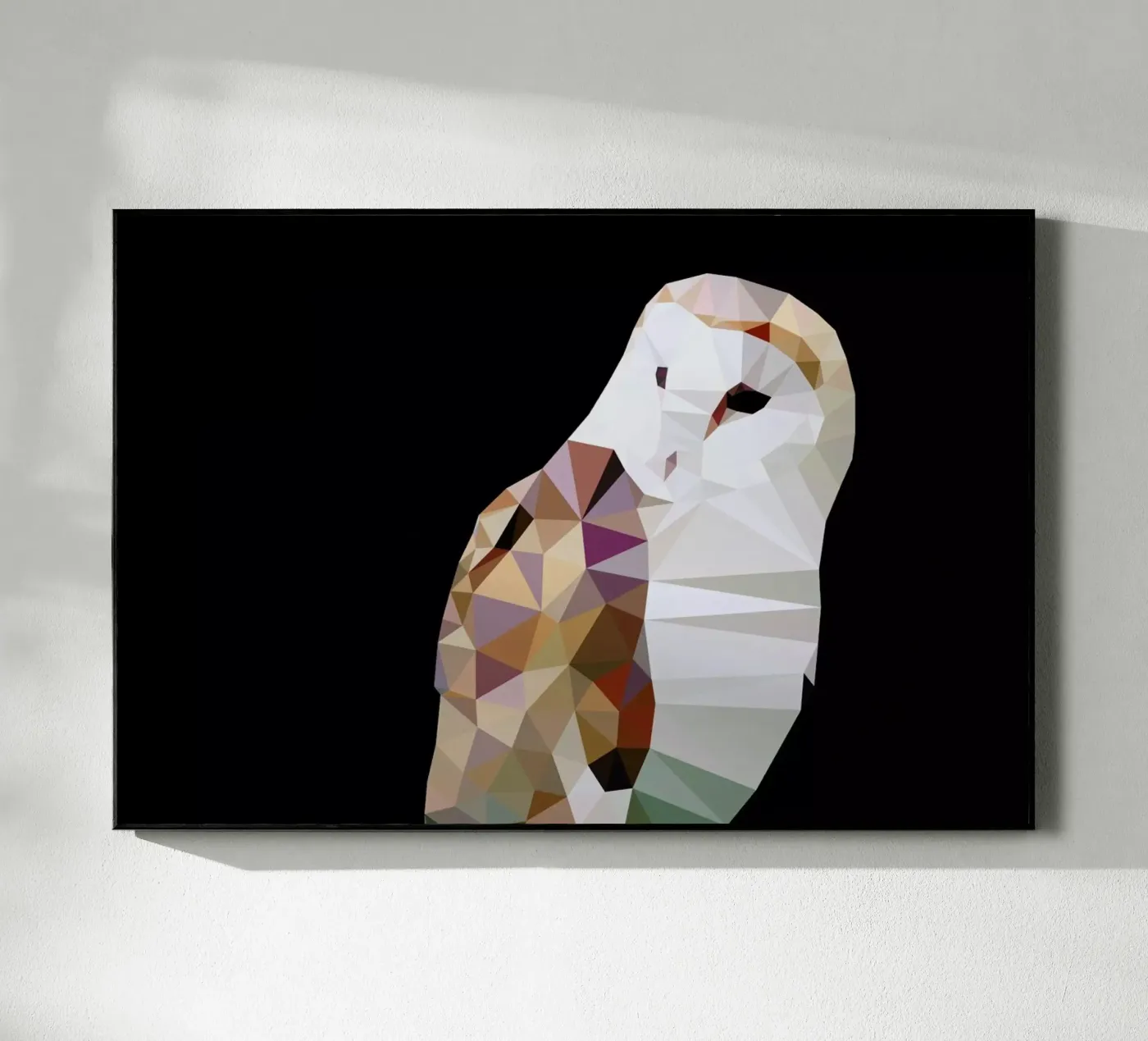 Tyto alba plexiglass da Matěj Kašpar Jirásek