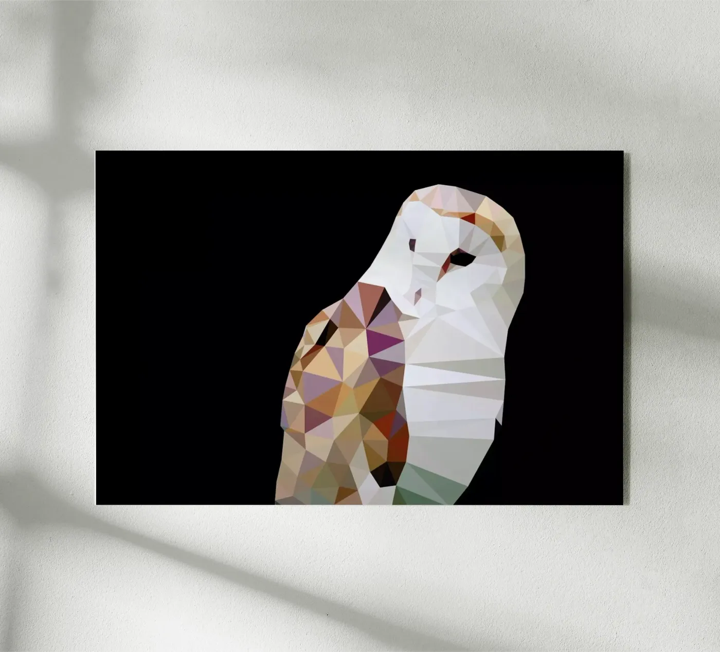 Tyto alba plexiglass da Matěj Kašpar Jirásek