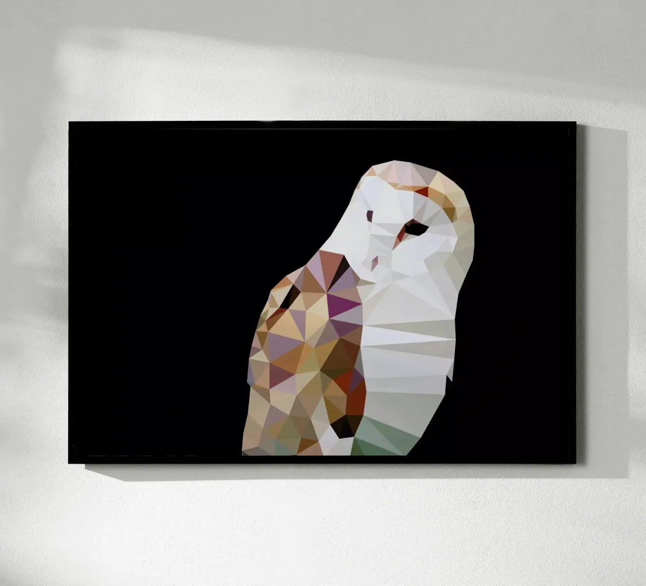Tyto alba poster da Matěj Kašpar Jirásek