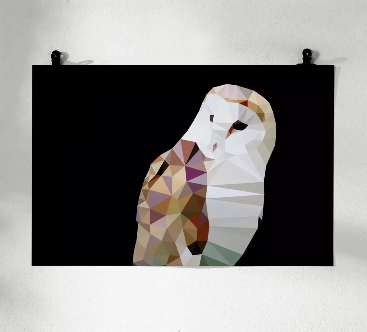 Tyto alba poster da Matěj Kašpar Jirásek