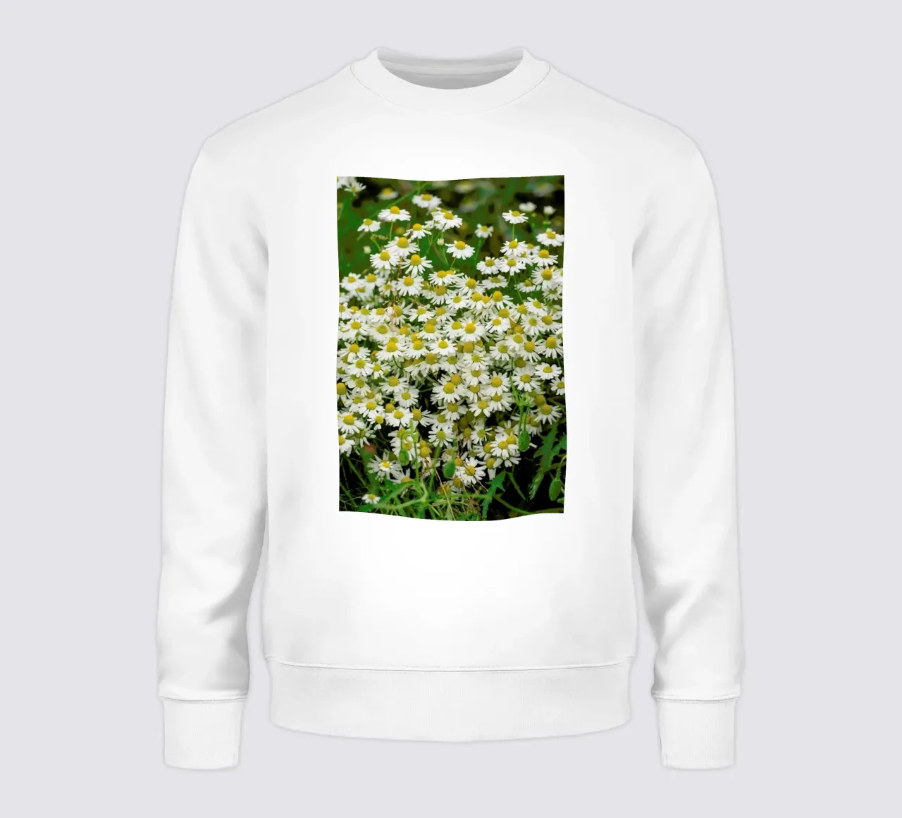 Chamomille Flowers felpa da Curious Collections by Marielle Leenders