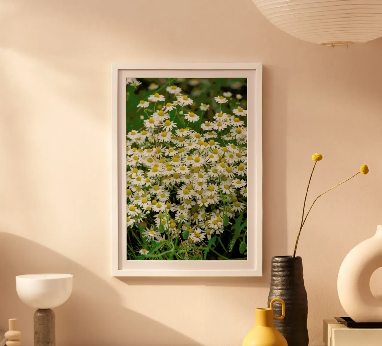 Chamomille Flowers poster da Curious Collections by Marielle Leenders