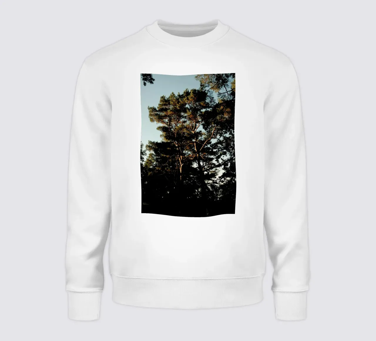 Trees And Warm Light sweatshirt van Sebastian Hilgetag