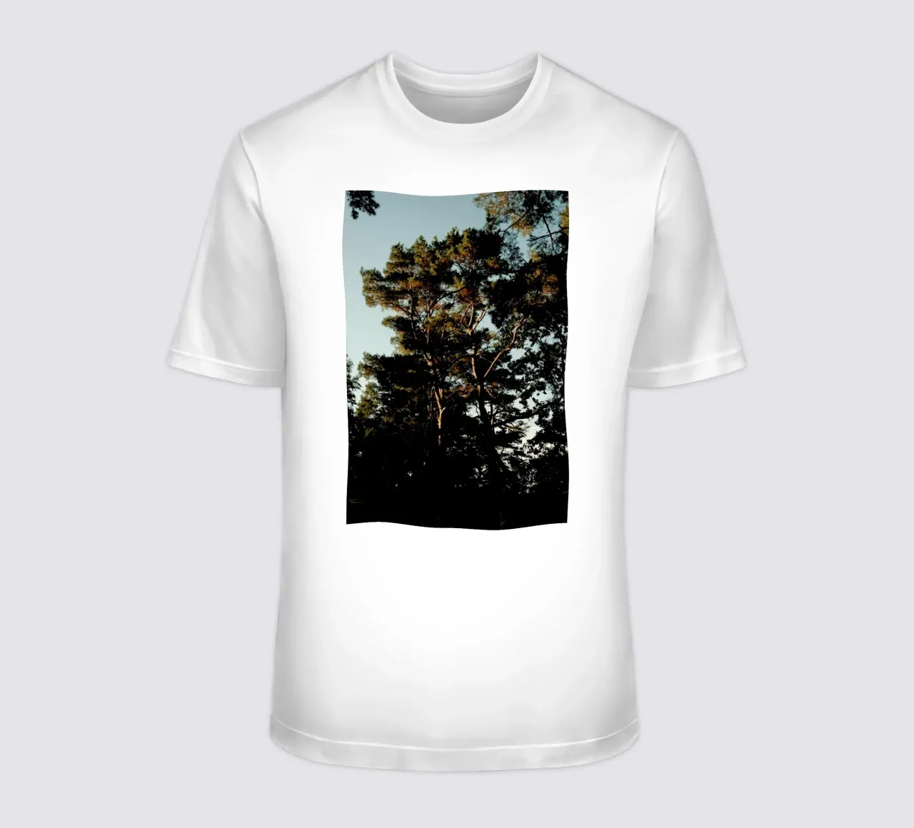 Trees And Warm Light t-shirt da Sebastian Hilgetag