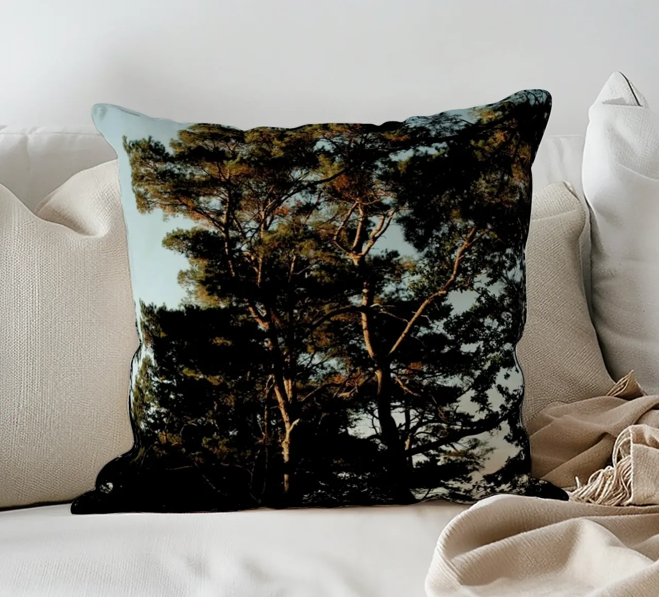 Trees And Warm Light cuscino da Sebastian Hilgetag