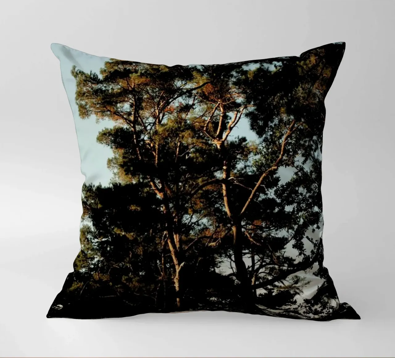 Trees And Warm Light cuscino da Sebastian Hilgetag