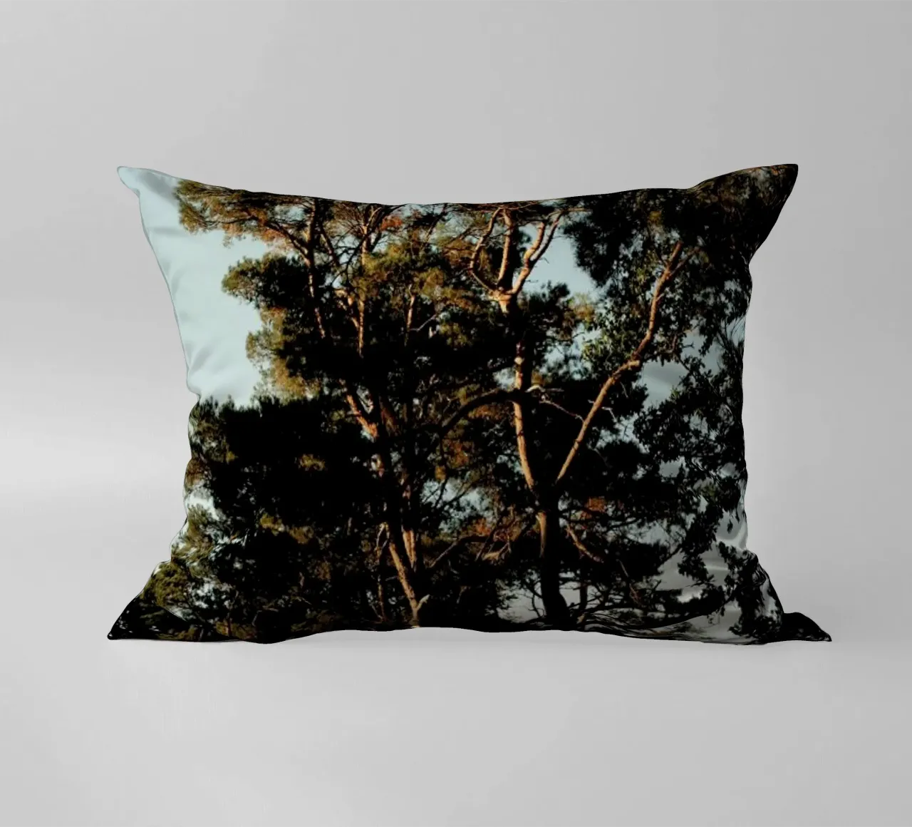 Trees And Warm Light cuscino da Sebastian Hilgetag