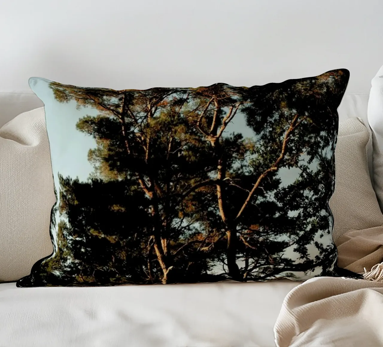 Trees And Warm Light cuscino da Sebastian Hilgetag