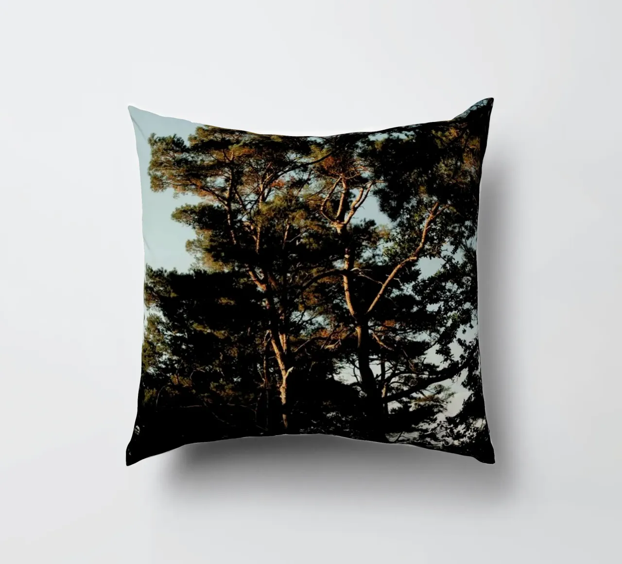 Trees And Warm Light cuscino da Sebastian Hilgetag