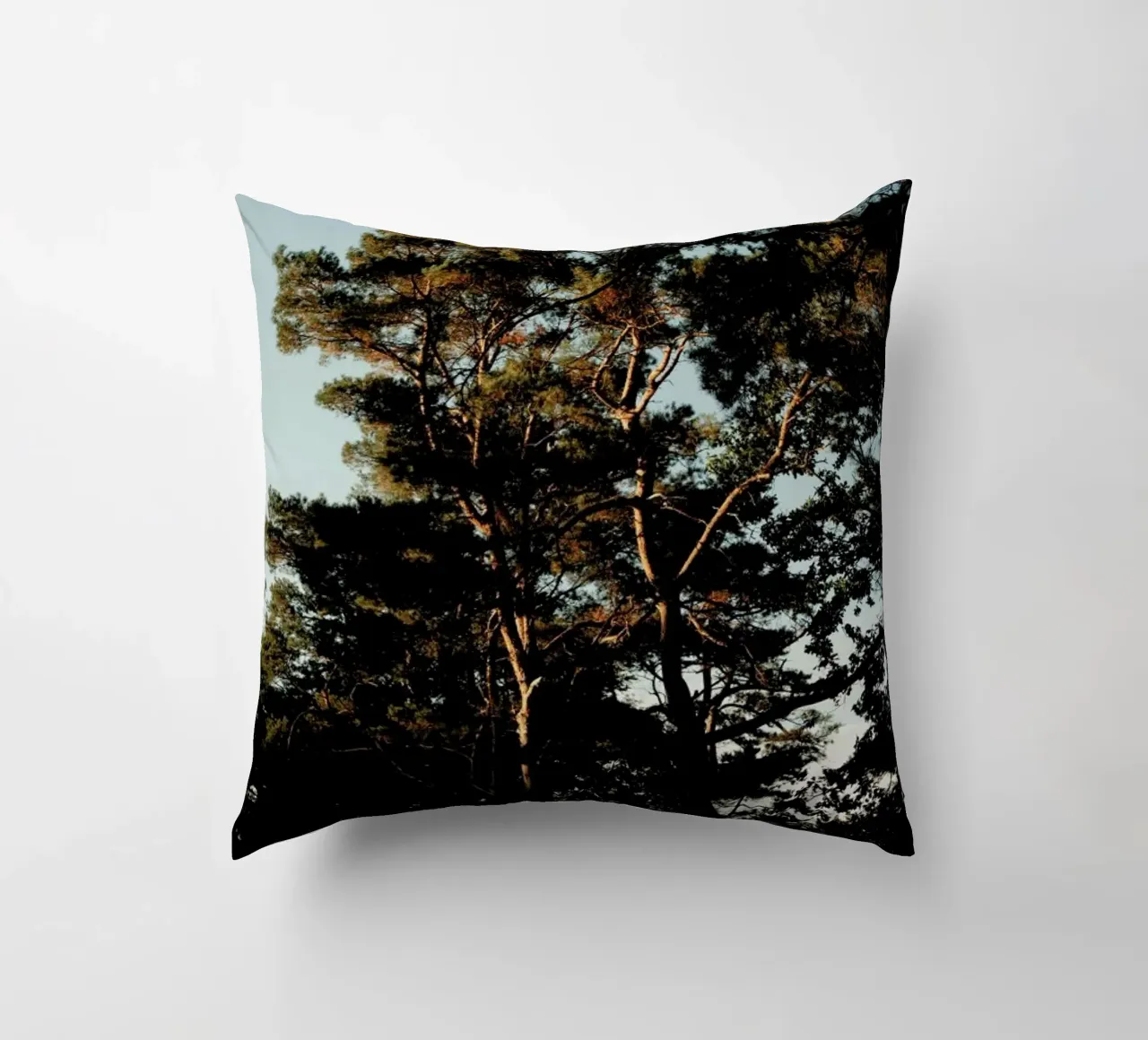 Trees And Warm Light cuscino da Sebastian Hilgetag