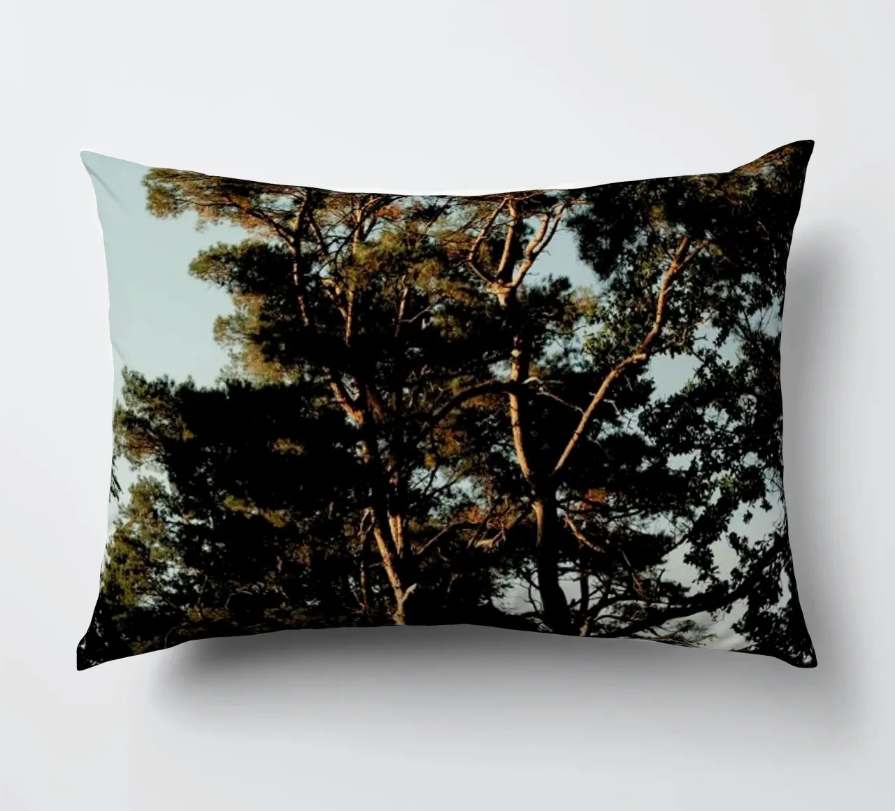 Trees And Warm Light cuscino da Sebastian Hilgetag