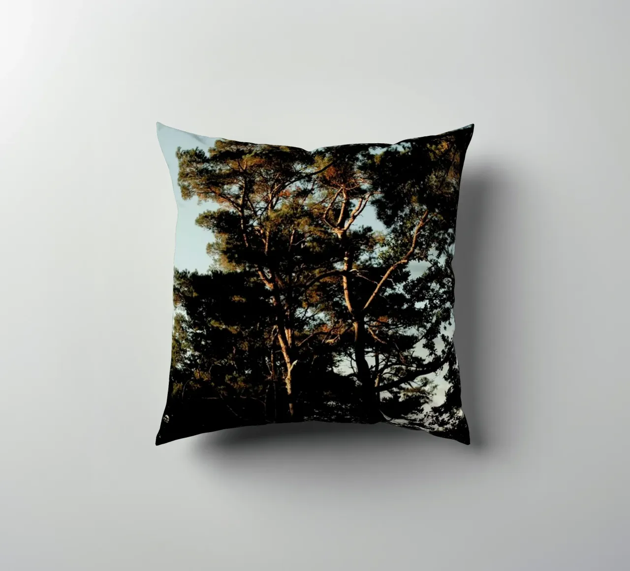 Trees And Warm Light cuscino da Sebastian Hilgetag