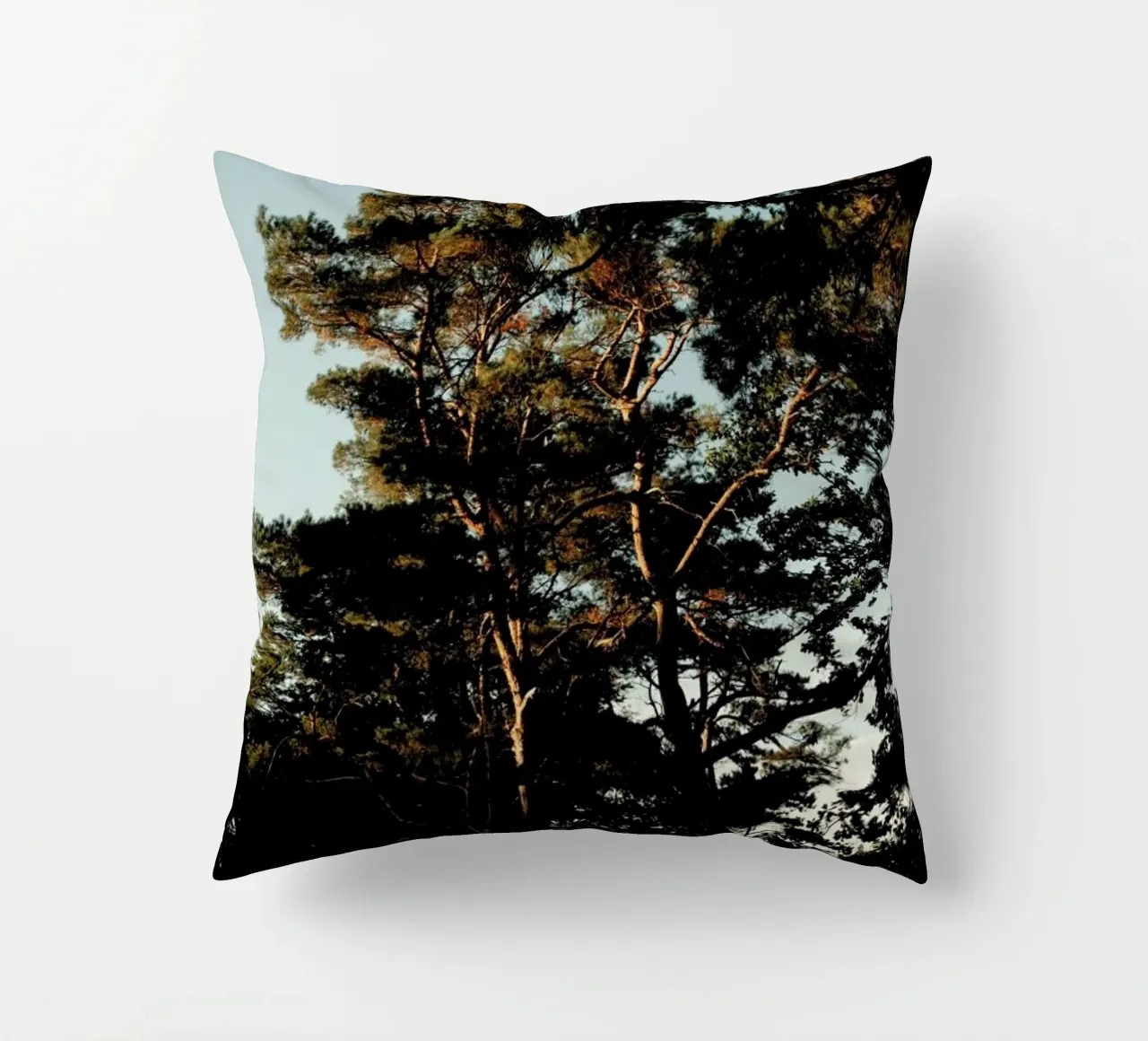 Trees And Warm Light cuscino da Sebastian Hilgetag