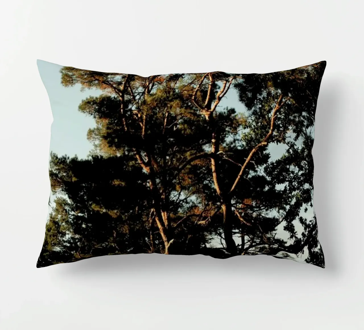 Trees And Warm Light cuscino da Sebastian Hilgetag