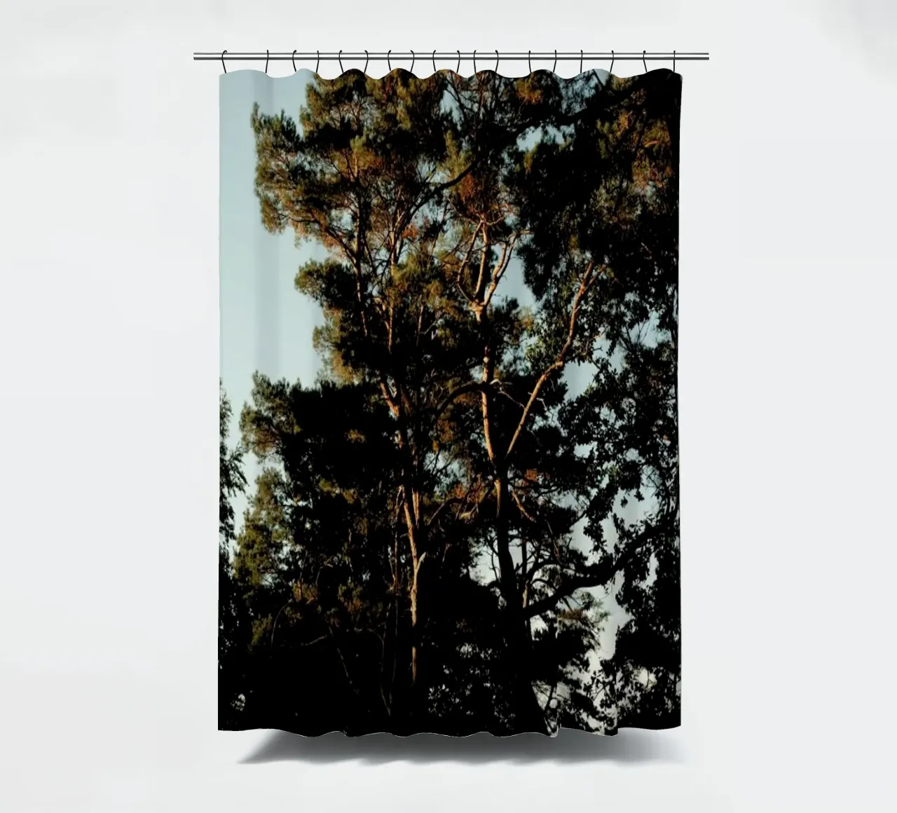 Trees And Warm Light tenda da doccia da Sebastian Hilgetag