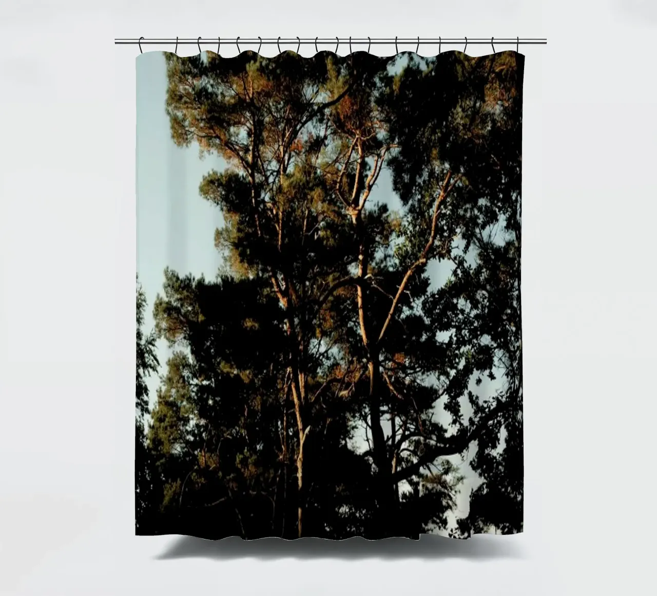 Trees And Warm Light tenda da doccia da Sebastian Hilgetag