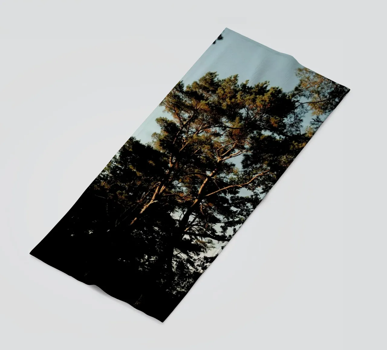 Trees And Warm Light telo mare da Sebastian Hilgetag