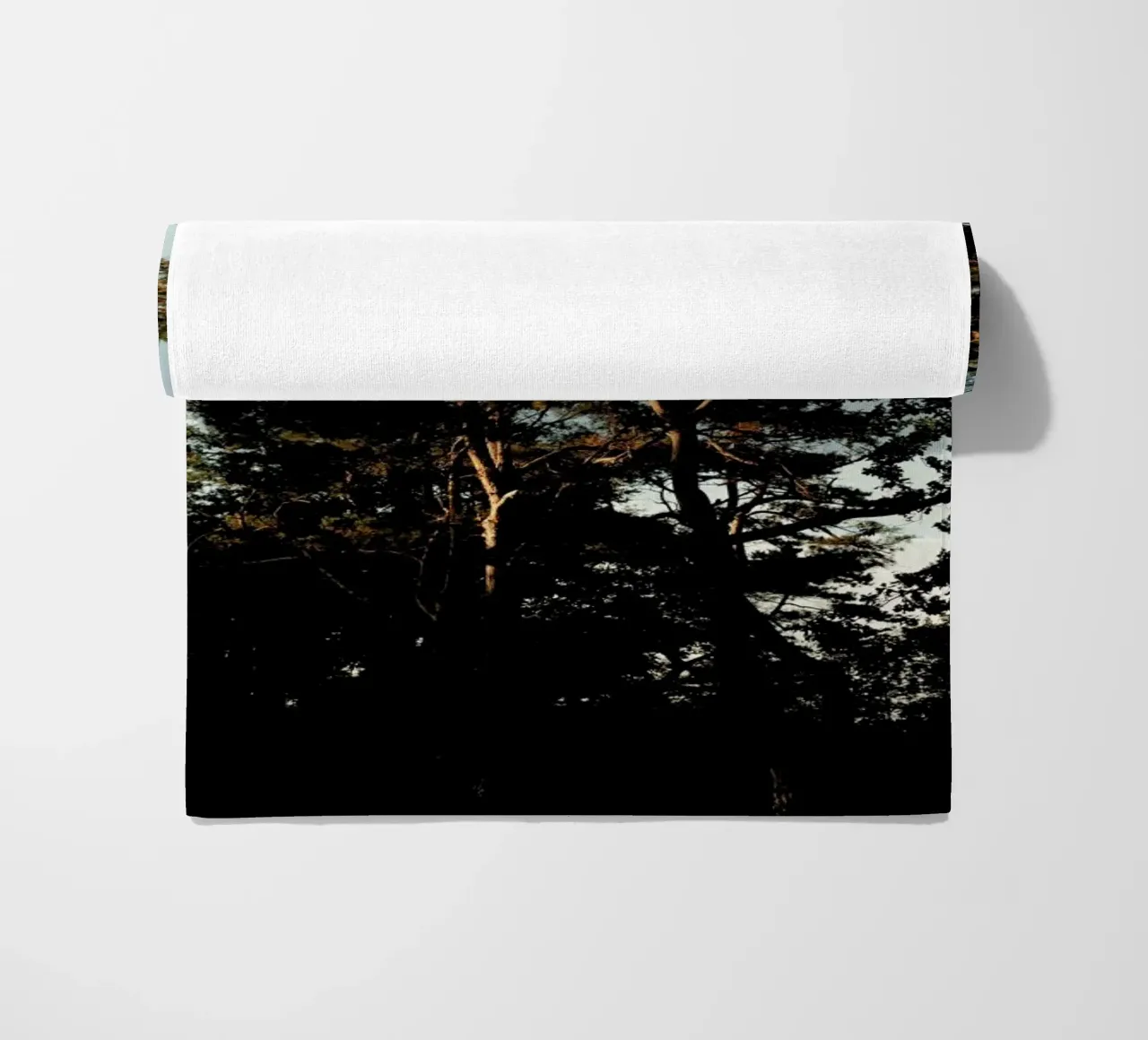 Trees And Warm Light telo mare da Sebastian Hilgetag