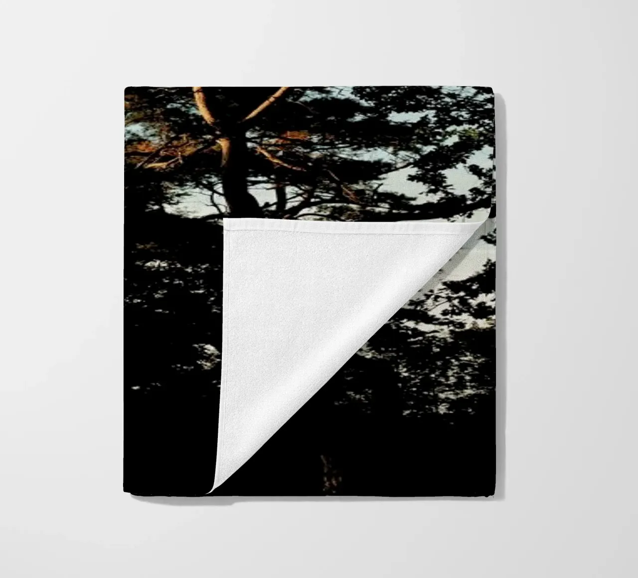 Trees And Warm Light telo mare da Sebastian Hilgetag