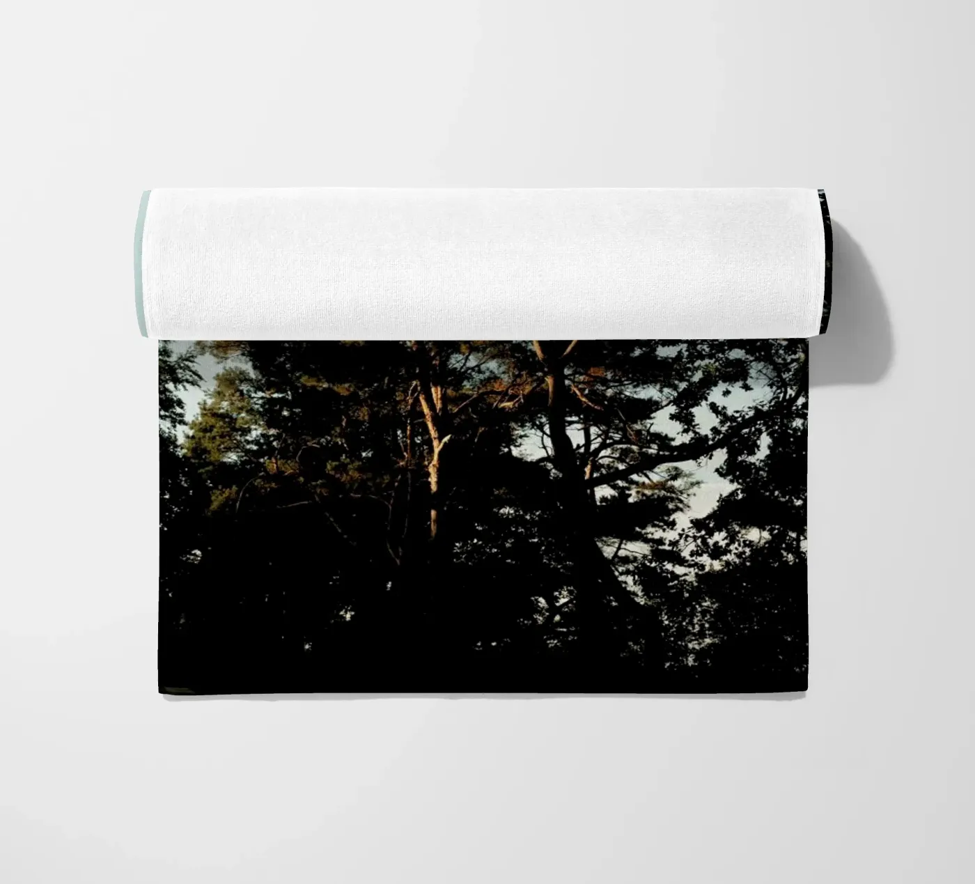 Trees And Warm Light telo mare da Sebastian Hilgetag