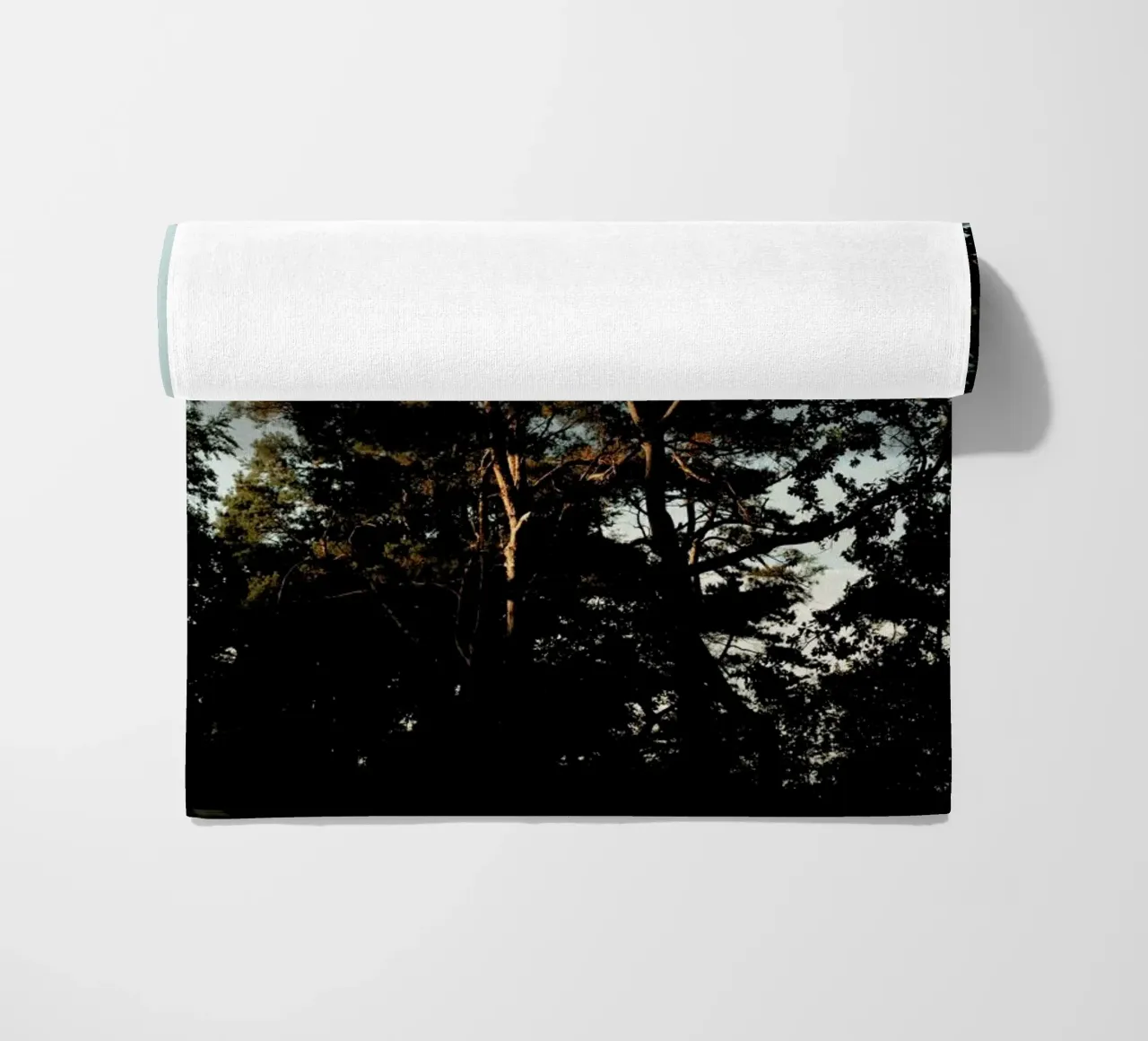 Trees And Warm Light telo mare da Sebastian Hilgetag