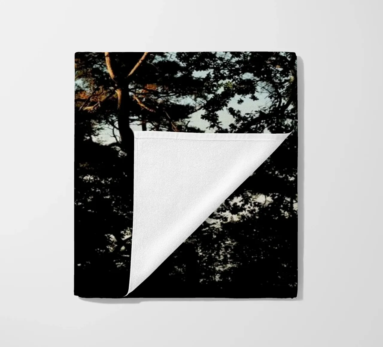 Trees And Warm Light telo mare da Sebastian Hilgetag