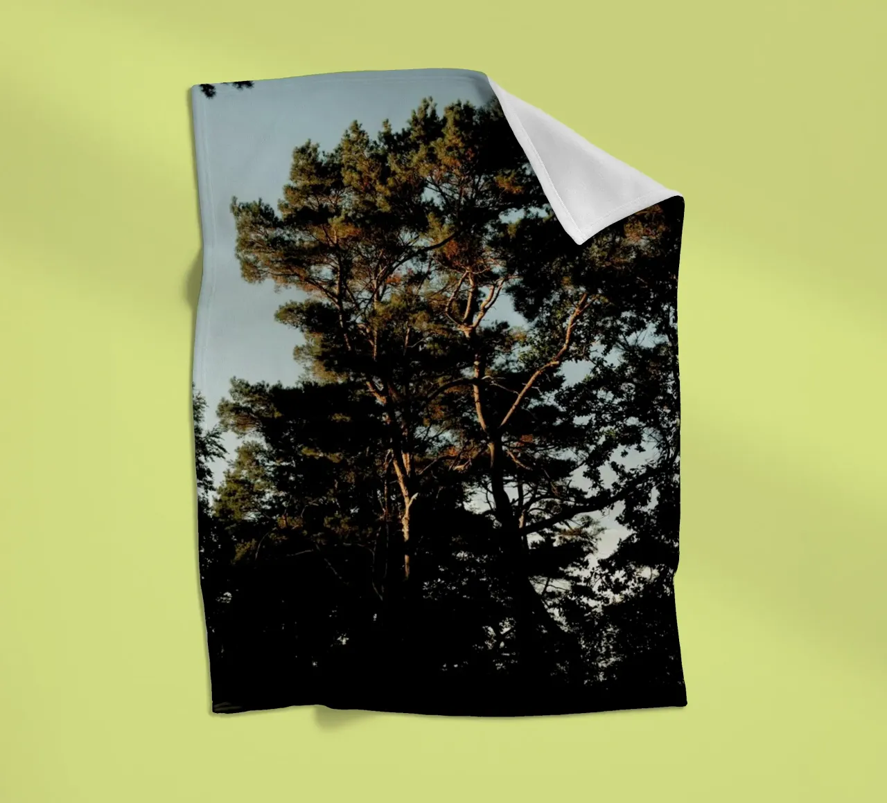 Trees And Warm Light coperta in pile da Sebastian Hilgetag