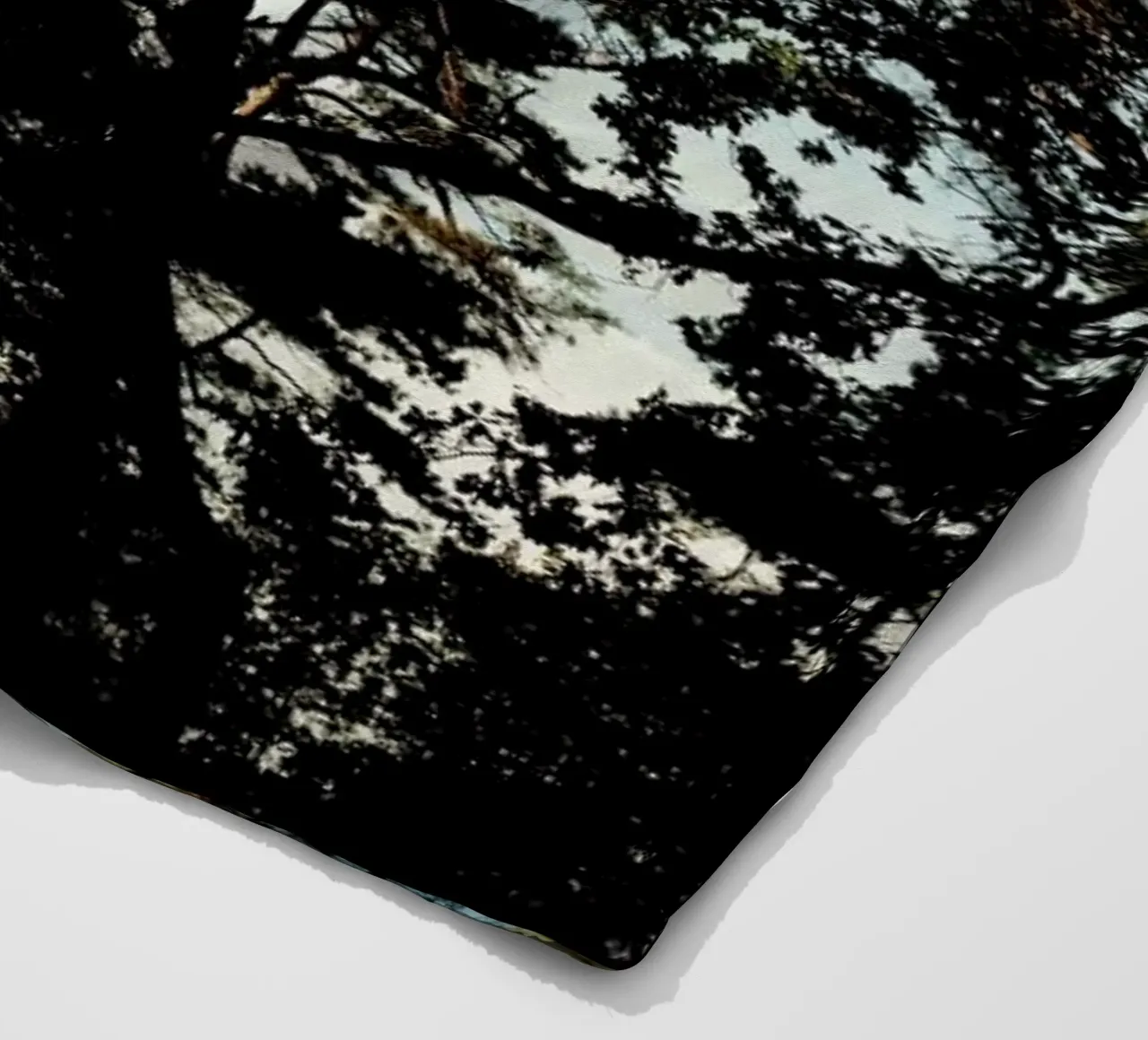 Trees And Warm Light coperta in pile da Sebastian Hilgetag