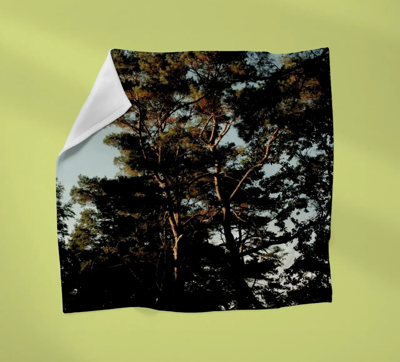 Trees And Warm Light coperta in pile da Sebastian Hilgetag