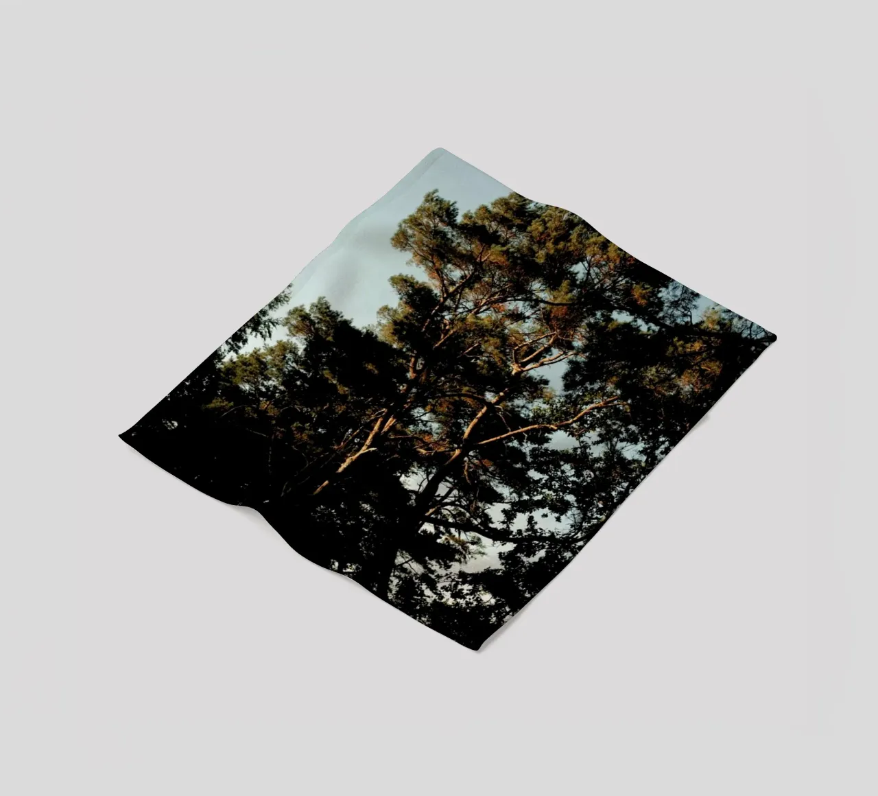Trees And Warm Light coperta in pile da Sebastian Hilgetag