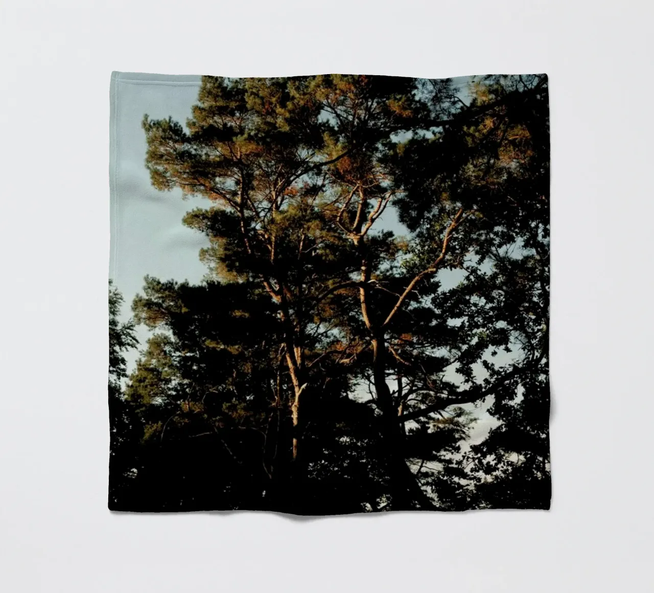 Trees And Warm Light coperta in pile da Sebastian Hilgetag
