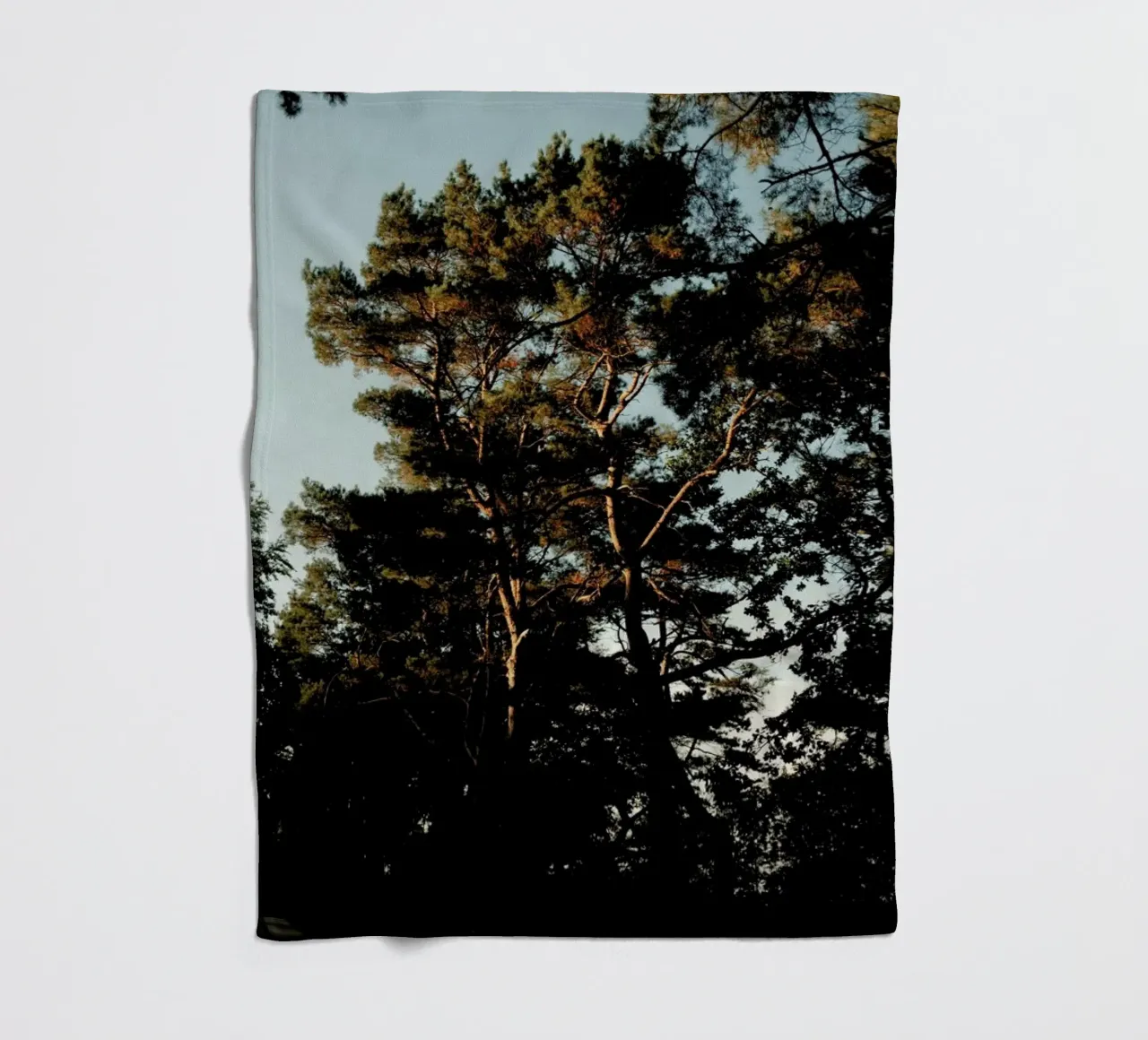Trees And Warm Light coperta in pile da Sebastian Hilgetag