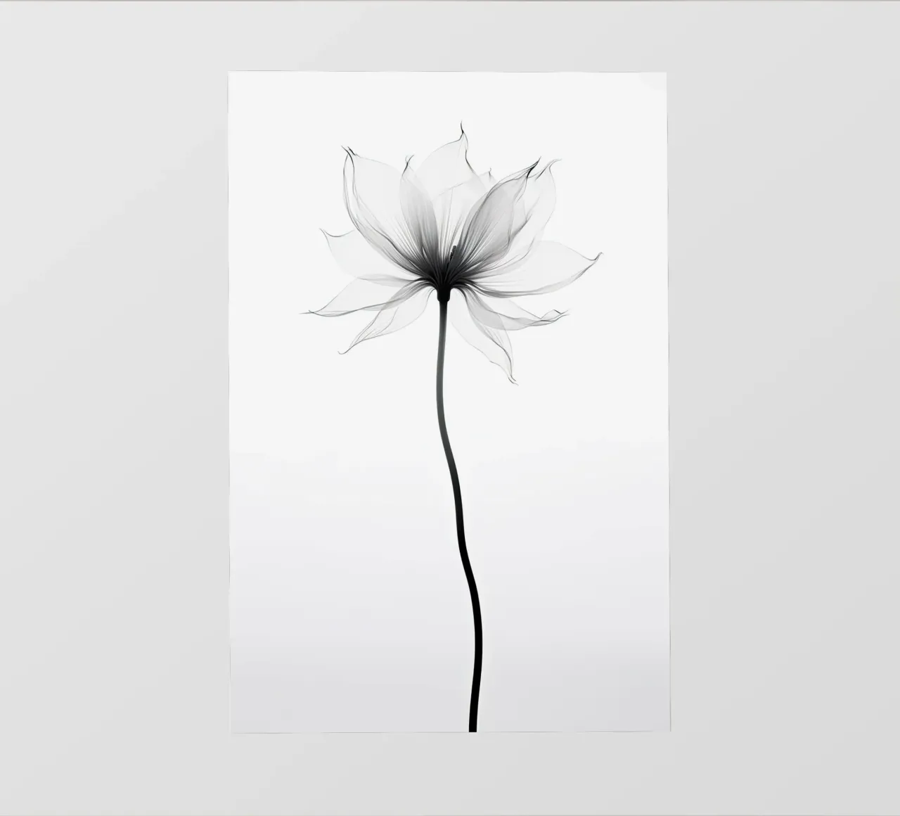 Arte da parete di Imagine pellicola backlit da Imagine