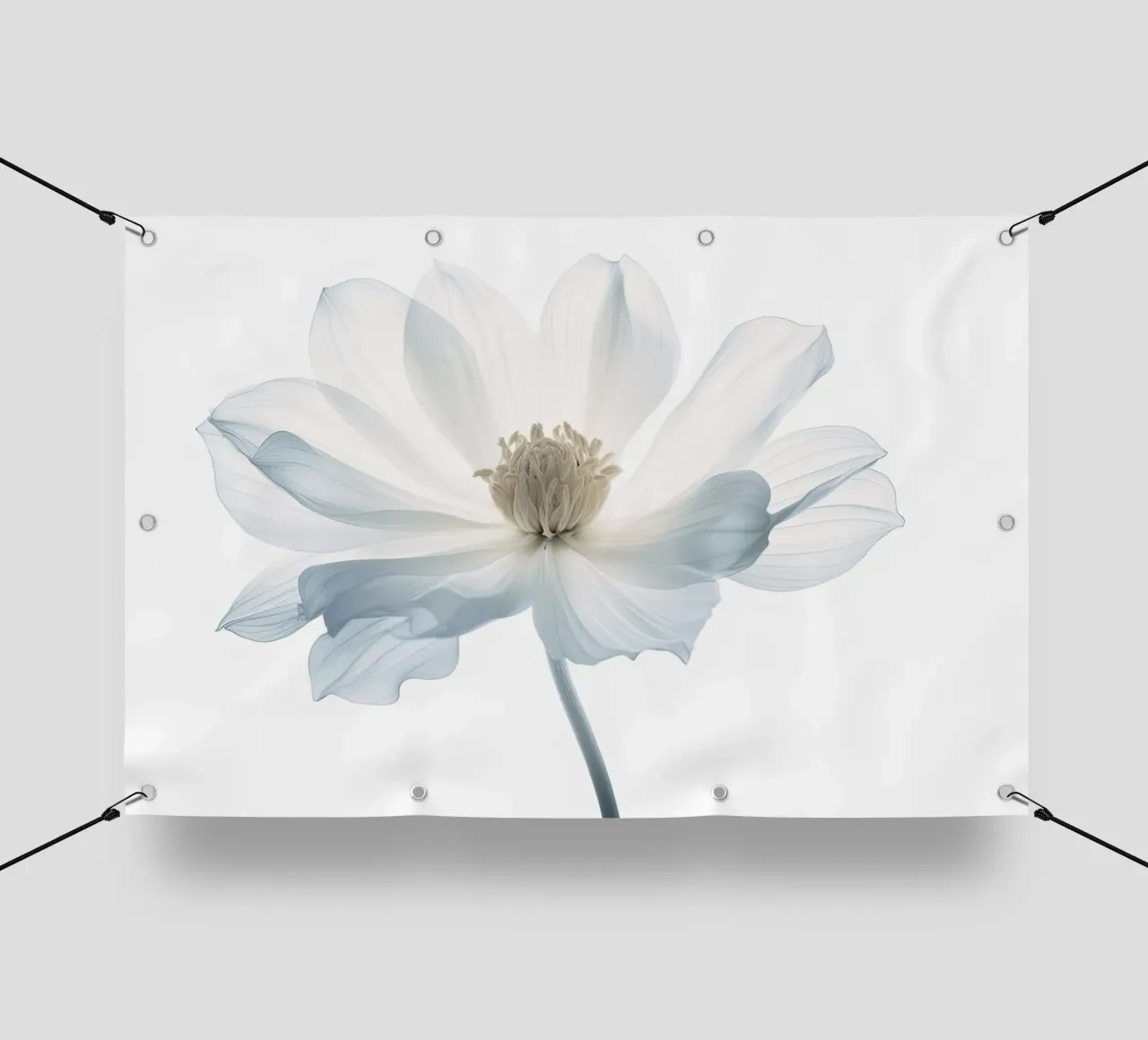 Arte da parete di Imagine telo in pvc da Imagine