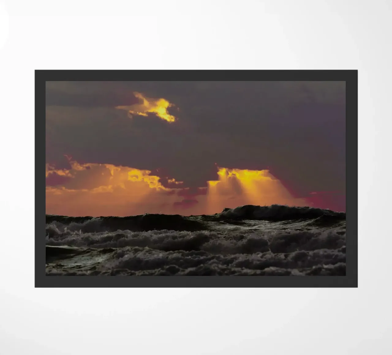 Dialog zerbino da Tal Paz-Fridman